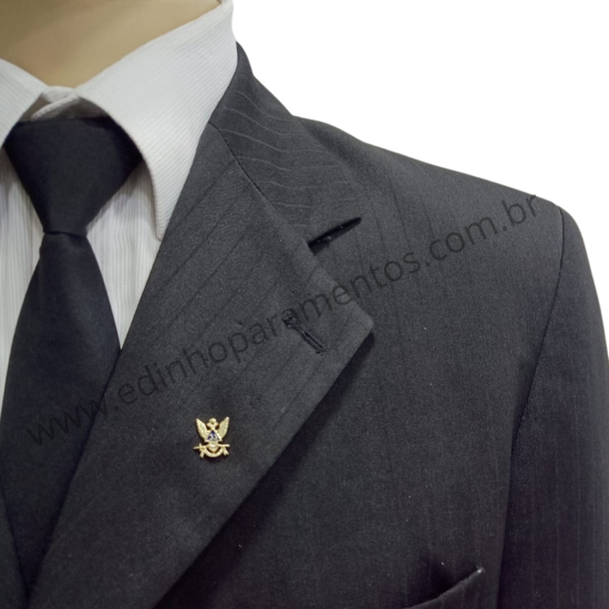 Pin Águia Grau 33 Azul