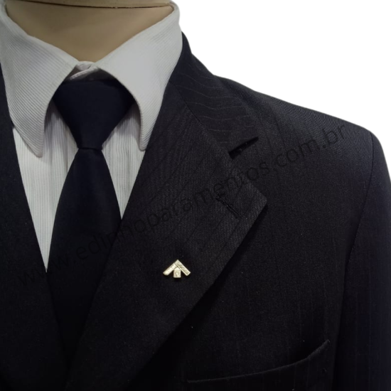 Pin Mini Joia Past Master...