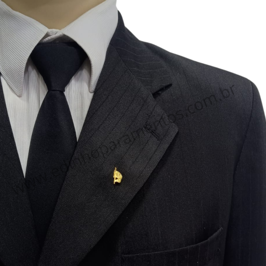 Pin Mini Joia Porta...