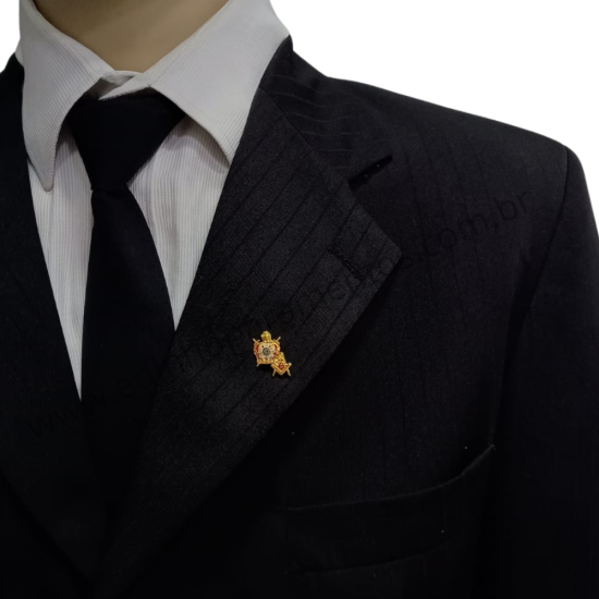 Pin Demolay e Maçonaria...